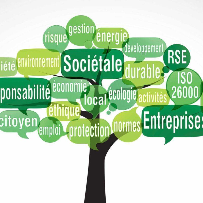 Responsabilité sociétale des Entreprises : Vers une entreprise vivante