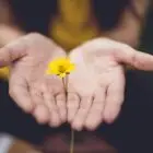Leadership empathique et inclusif : Clé de la cohésion d’équipe
