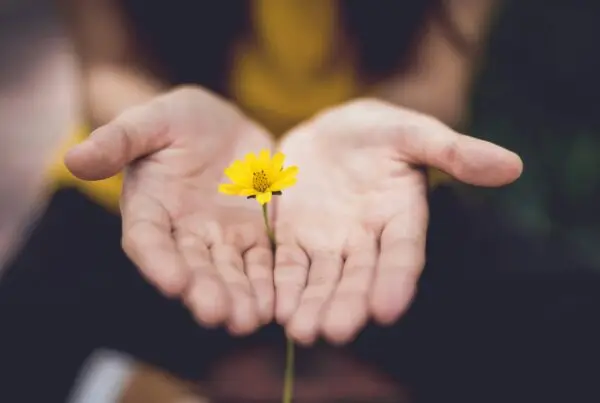 Leadership empathique et inclusif : Clé de la cohésion d’équipe