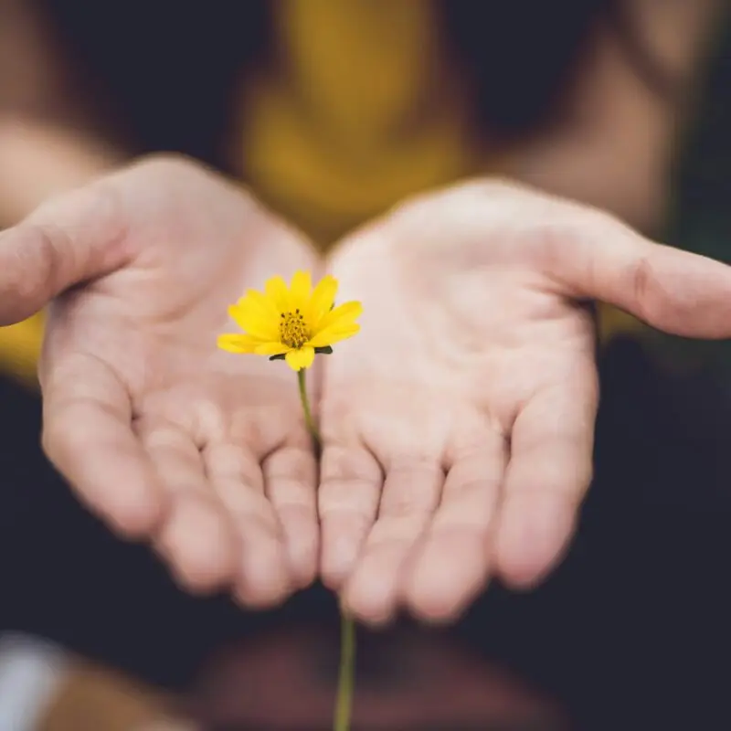 Leadership empathique et inclusif : Clé de la cohésion d’équipe