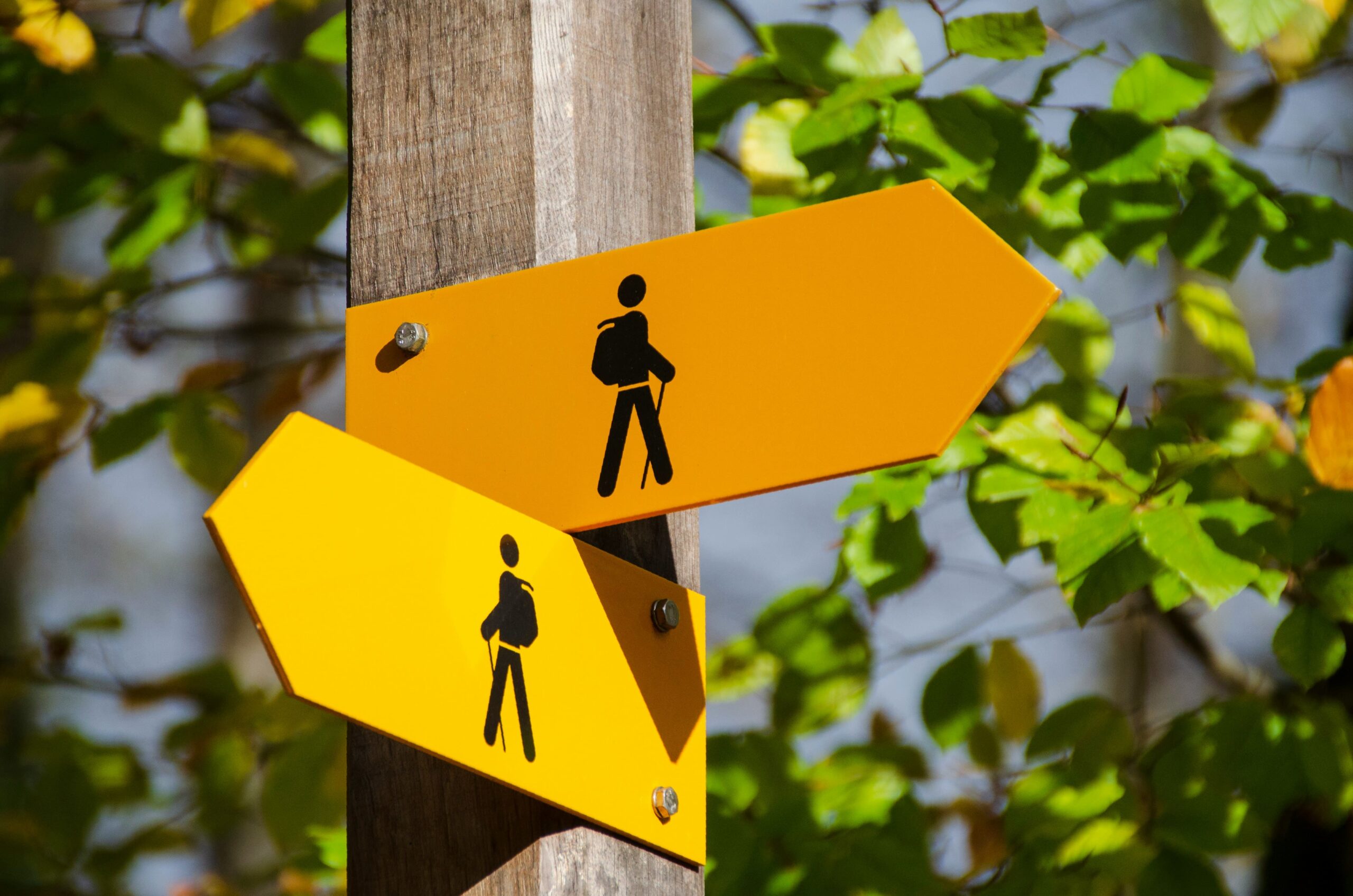 Leadership en période d'incertitude PME