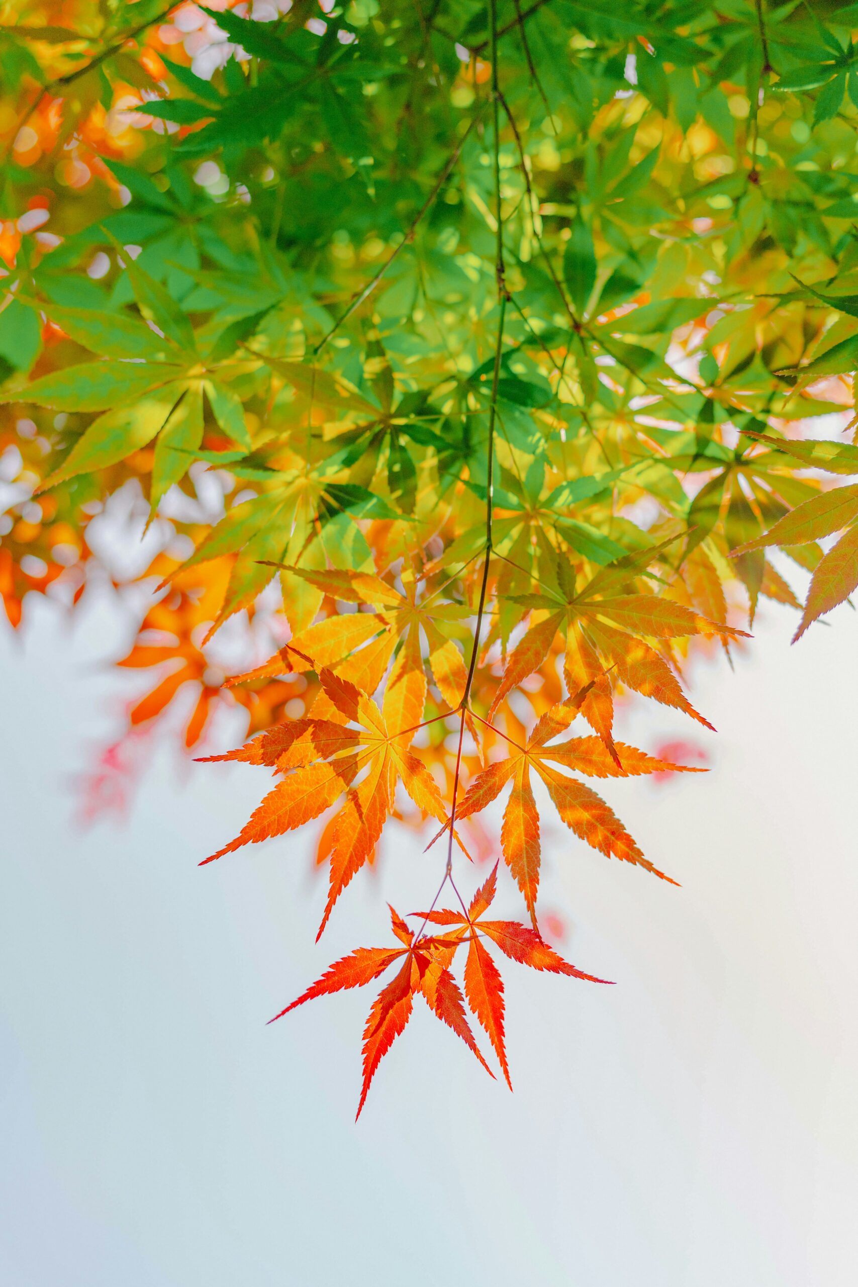 Transmission entreprise familiale : au-delà des chiffres, les enjeux humains